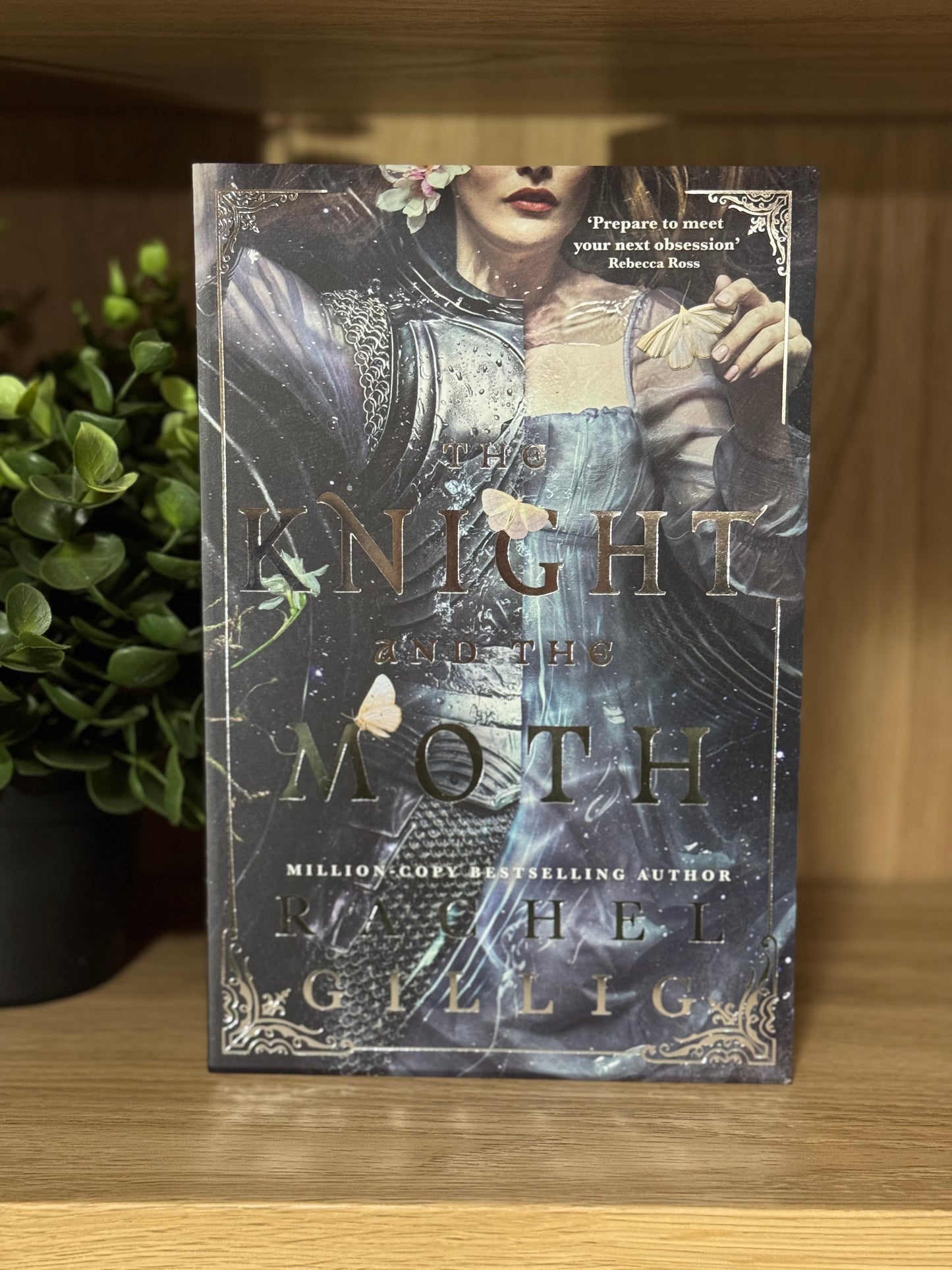 The knight and the Moth- Rachel Gillig