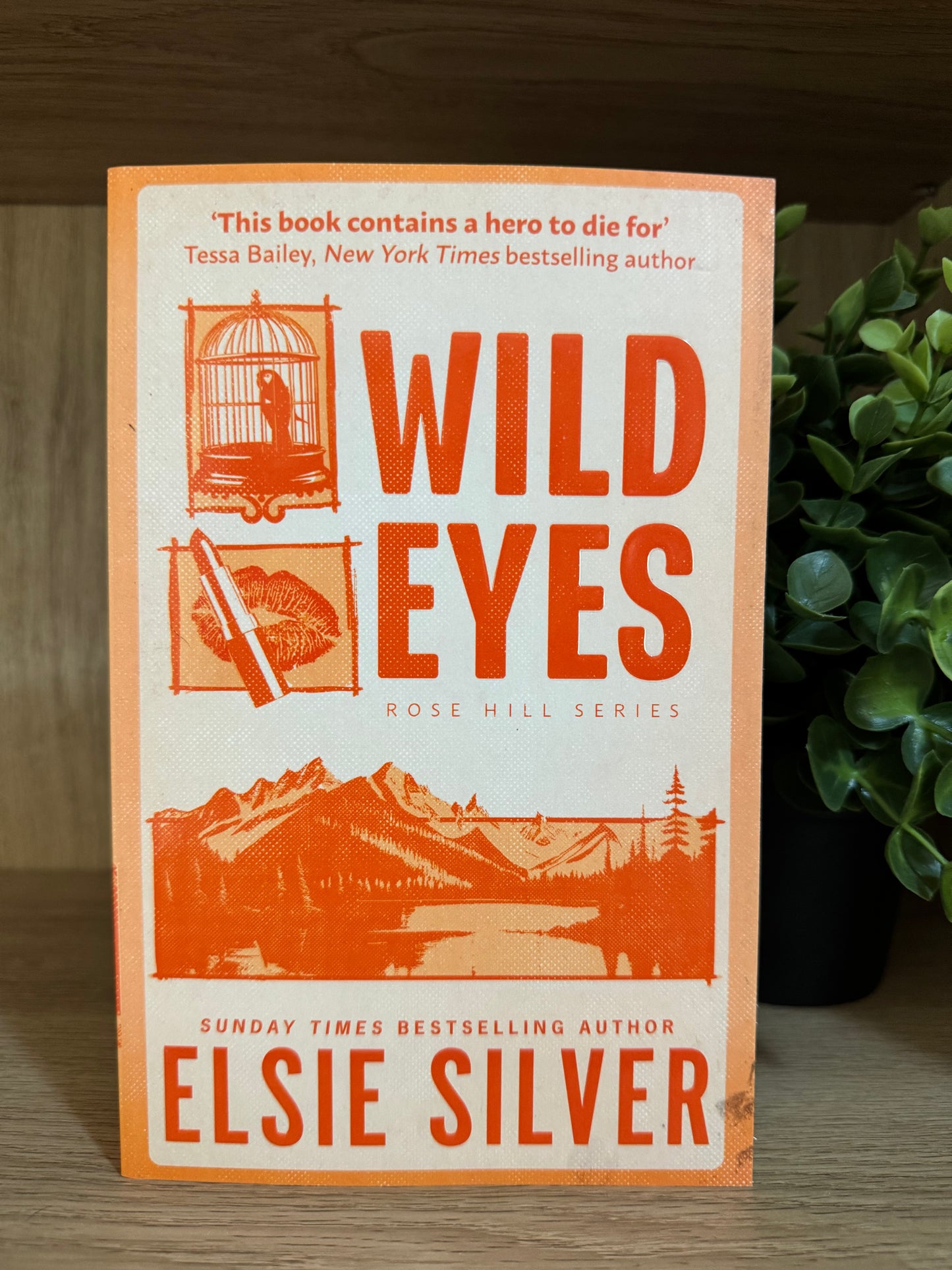 Wild eyes - Elsie Silver