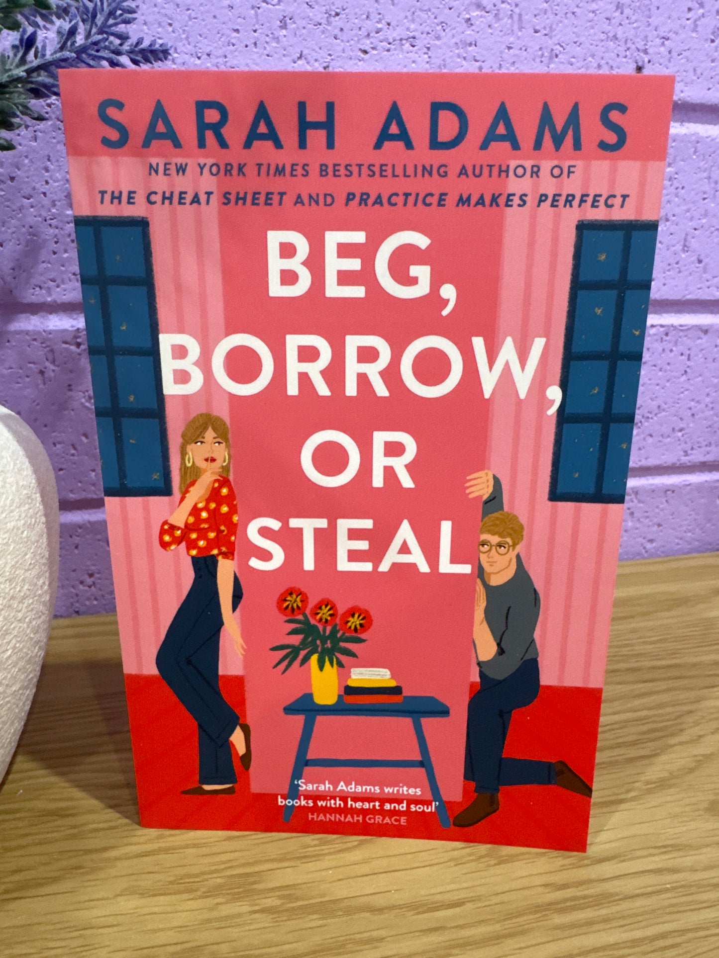 Beg, Borrow or Steal - Sarah Adams