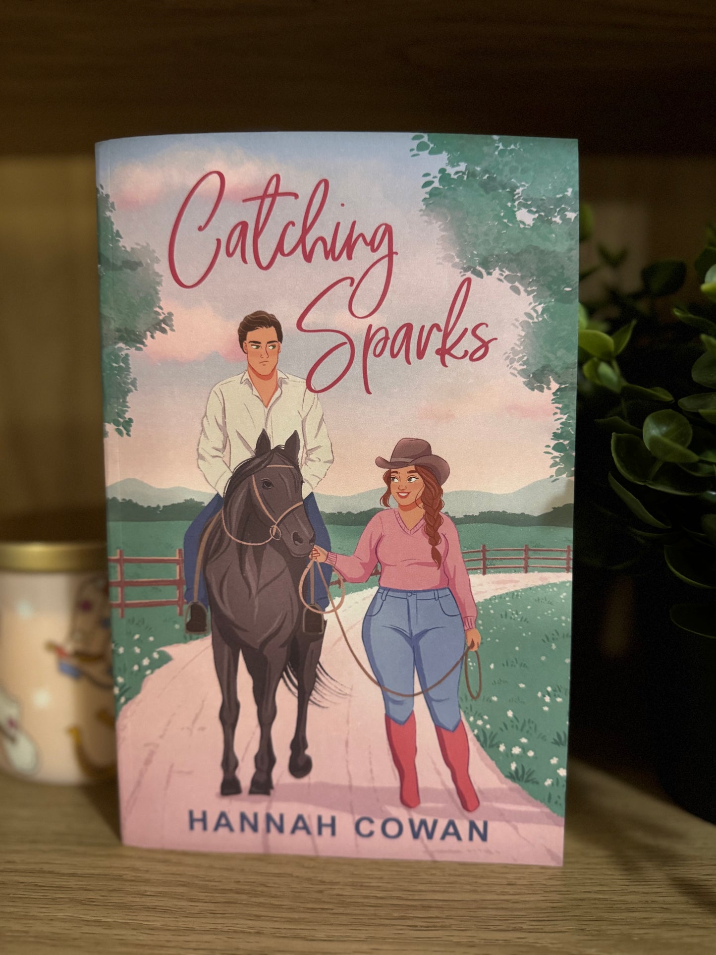 Catching Sparks - Hannah Cowan