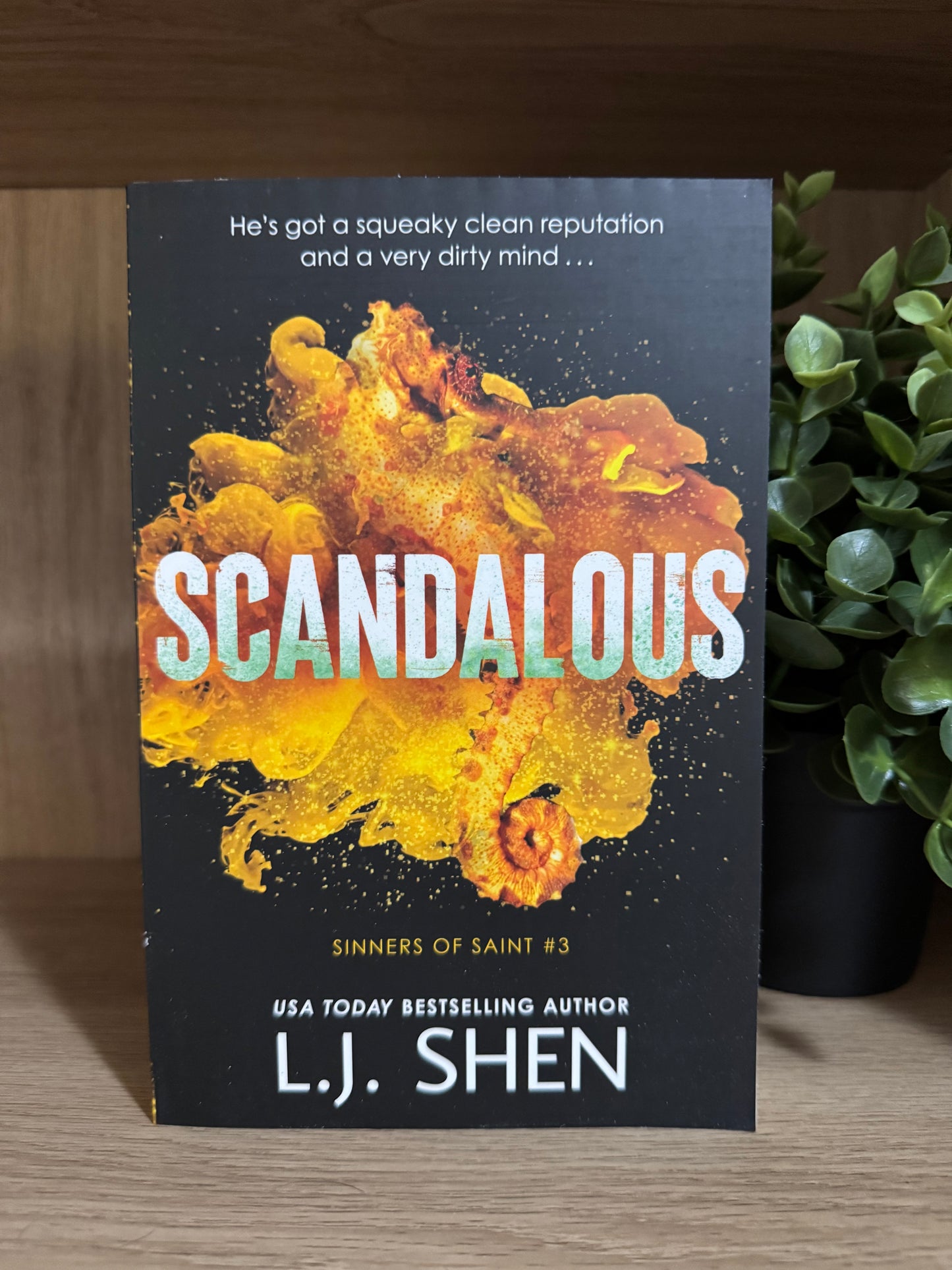 Scandalous - L.J Shen