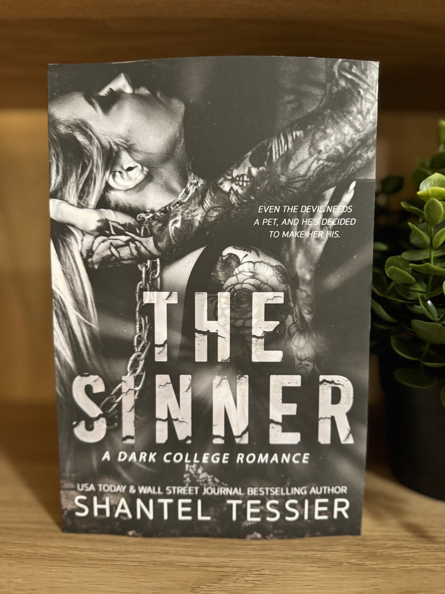 The Sinner - Shantel Tessier