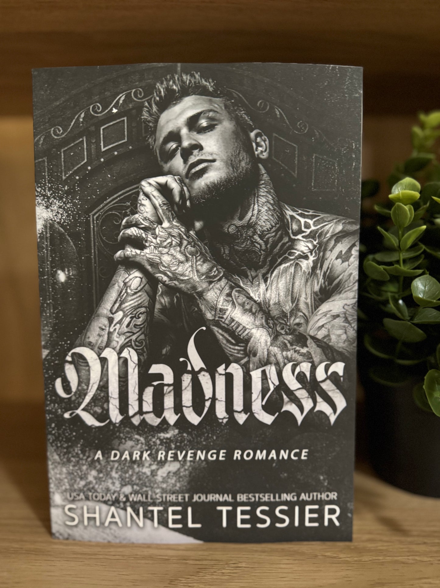 Madness - Shantel Tessier