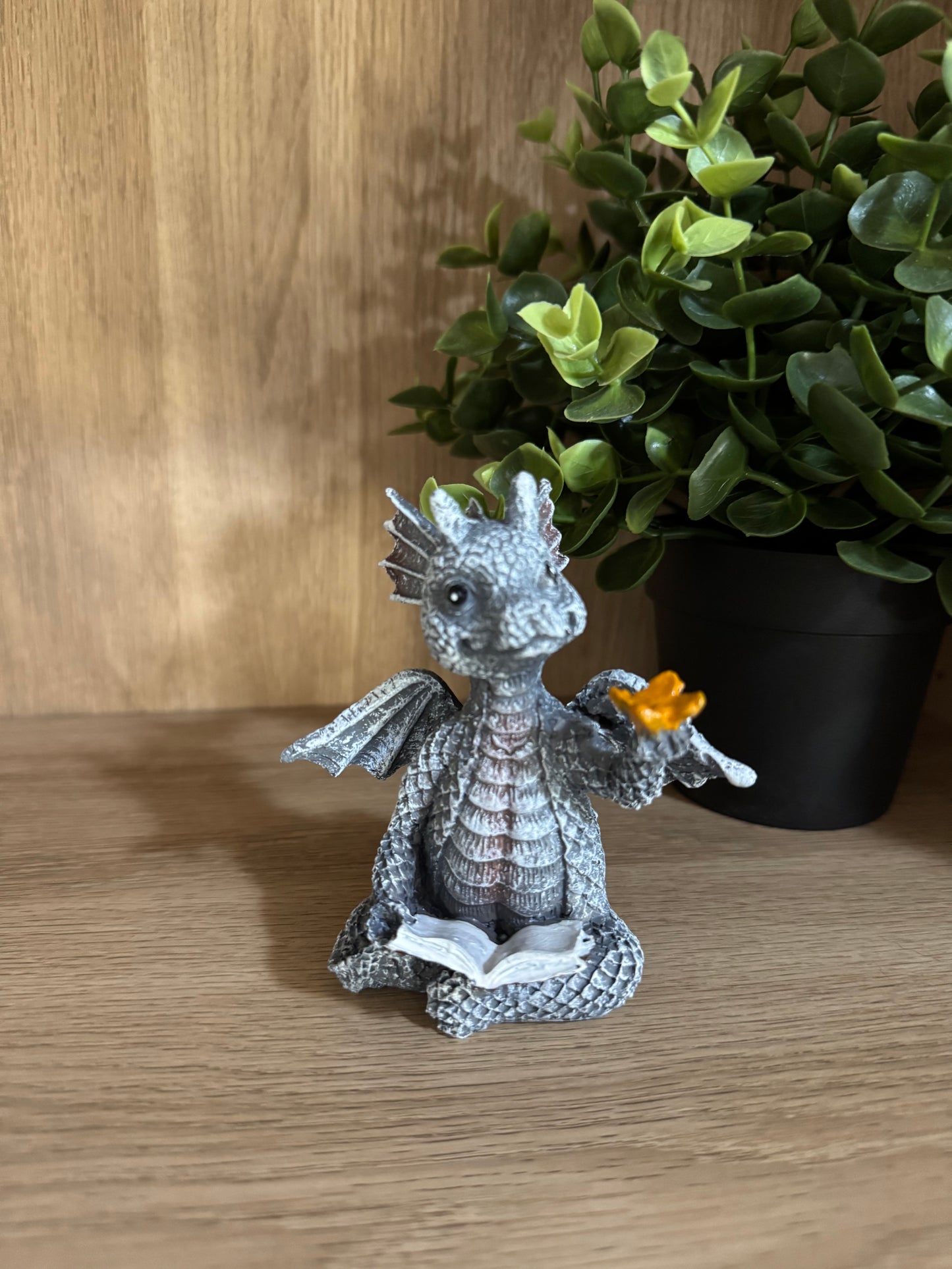 Story the fantasy Dragon