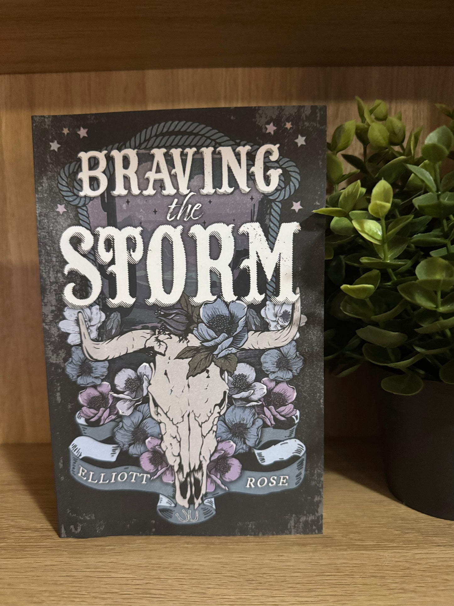 Braving the Storm - Elliott Rose