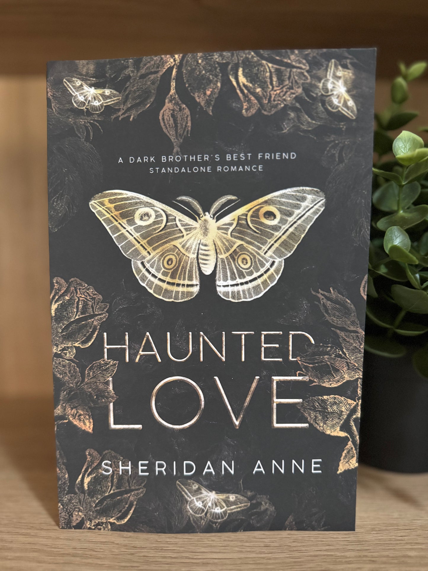 Haunted Love- Sheridan Anne