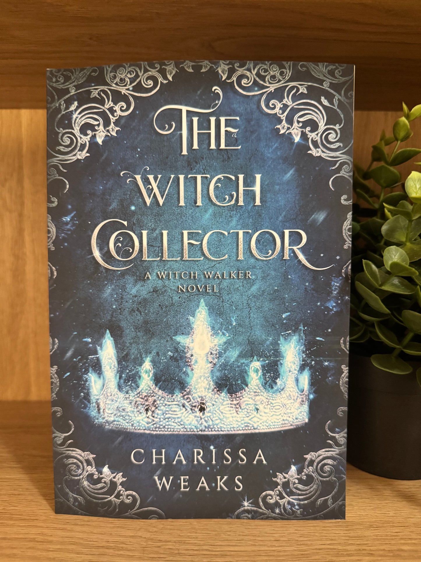 The Witch Collector- Charissa Weaks