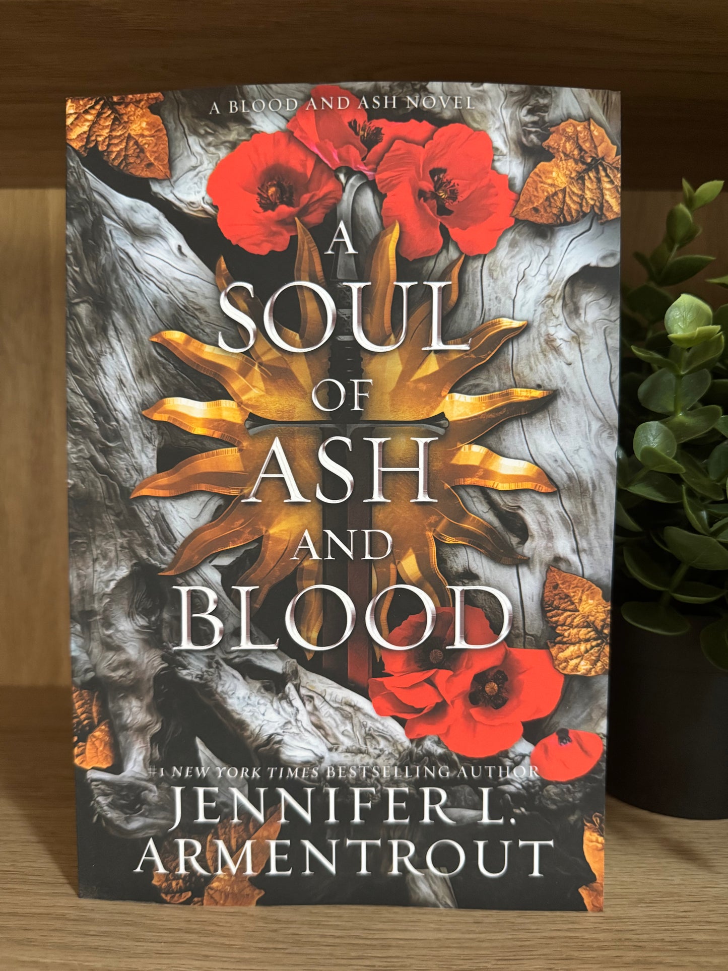 A Soul of Ash and Blood- Jennifer L Armentrout