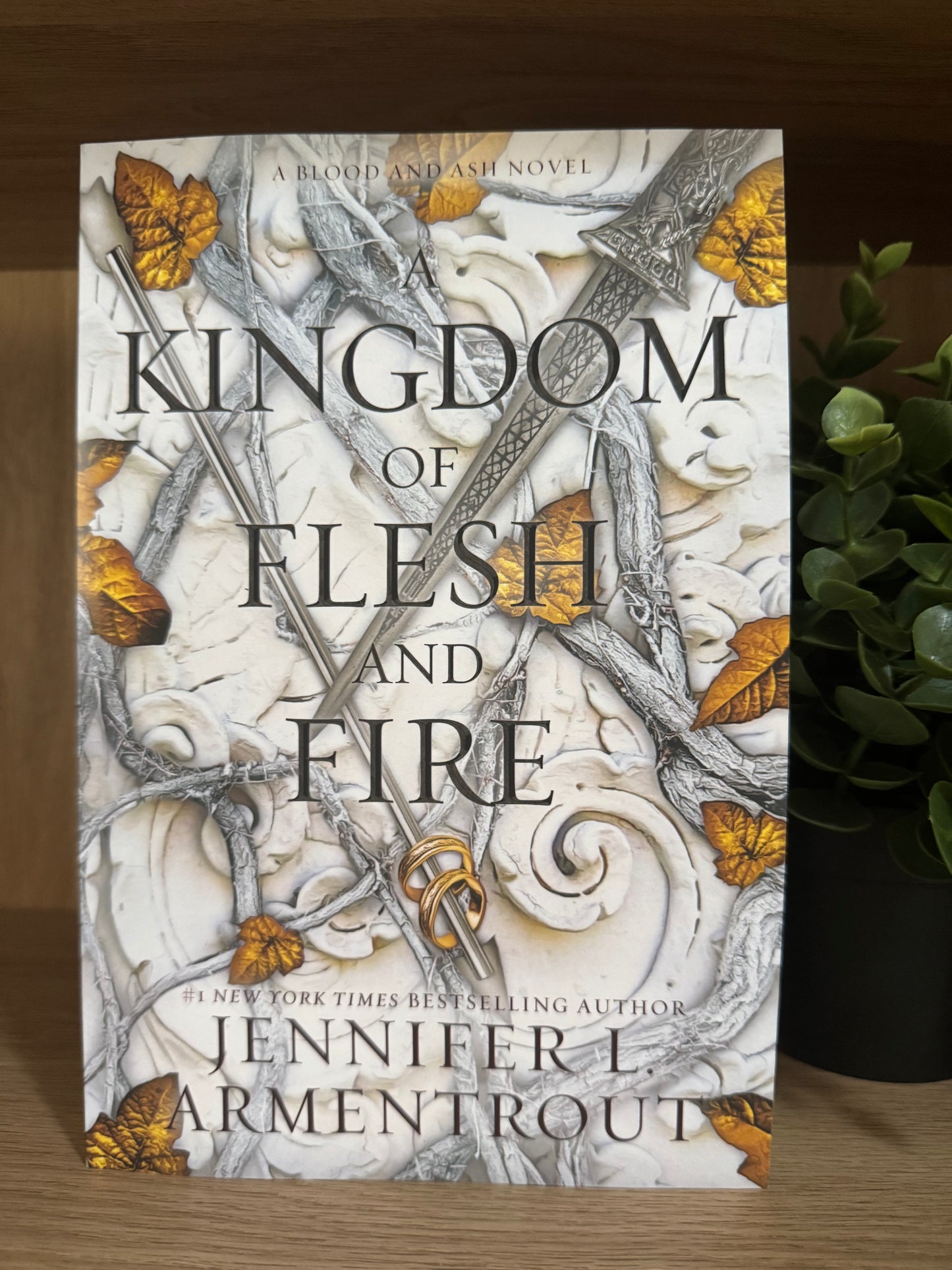 A Kingdom of flesh and Fire- Jennifer L Armentrout