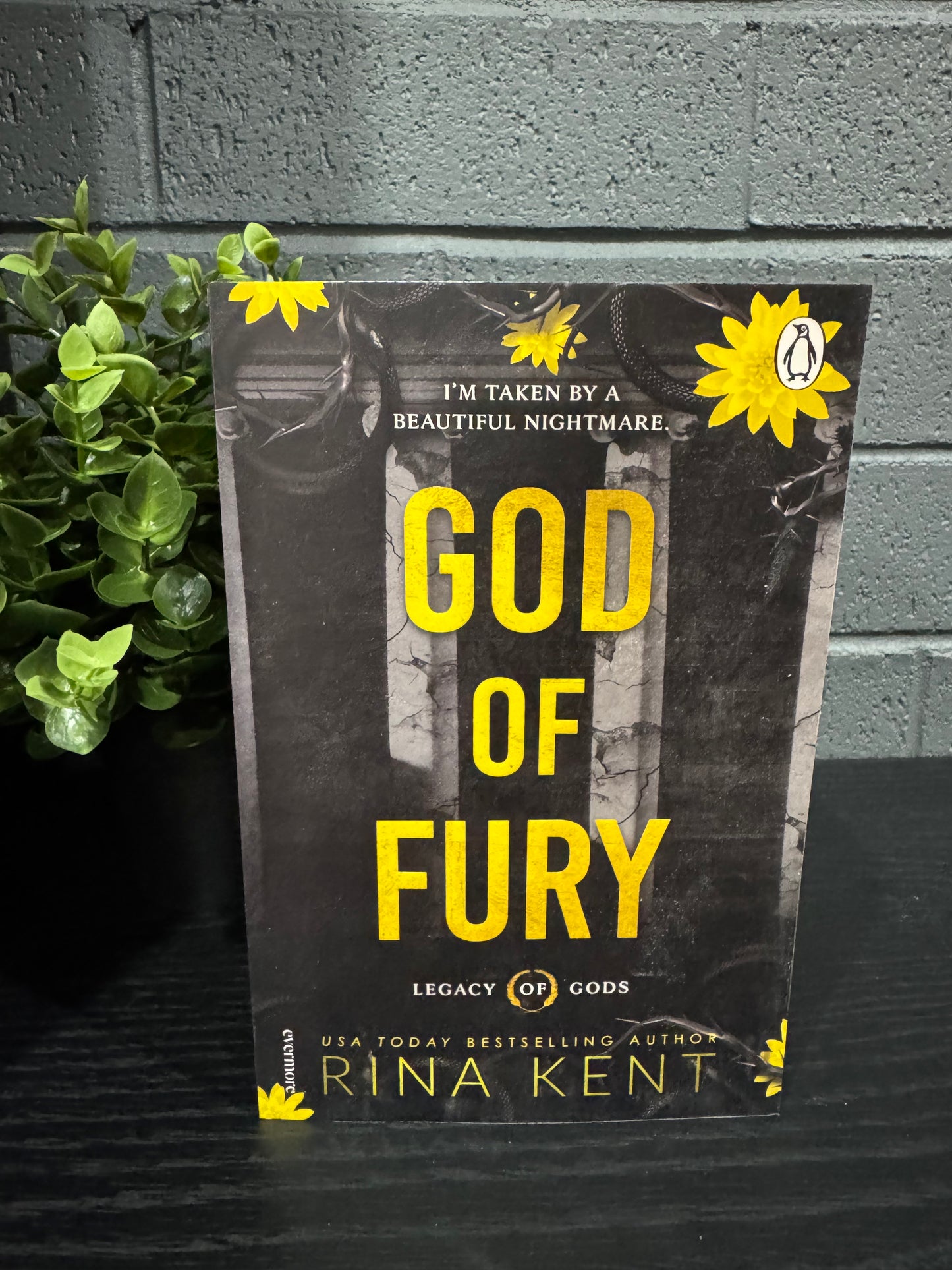 God Of Fury - Rina Kent