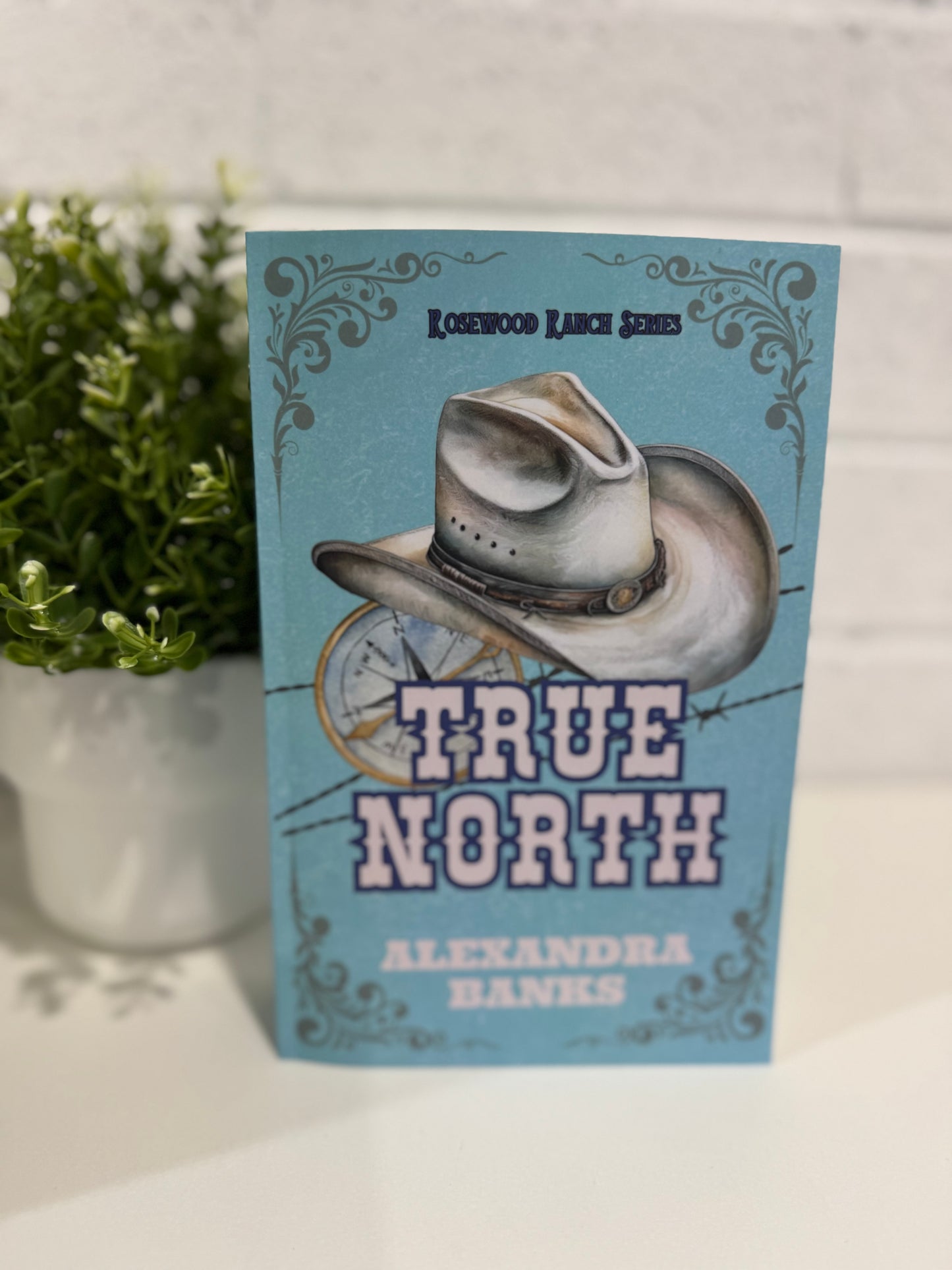 True north- Alexandra banks