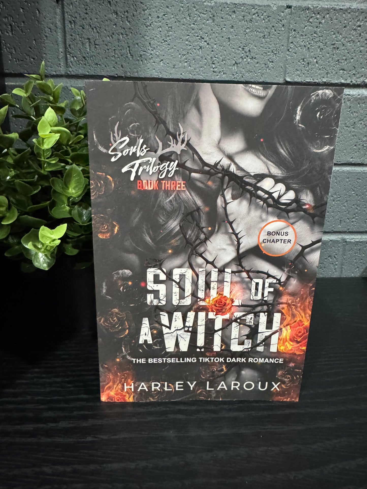 Soul Of A Witch - Harley Laroux