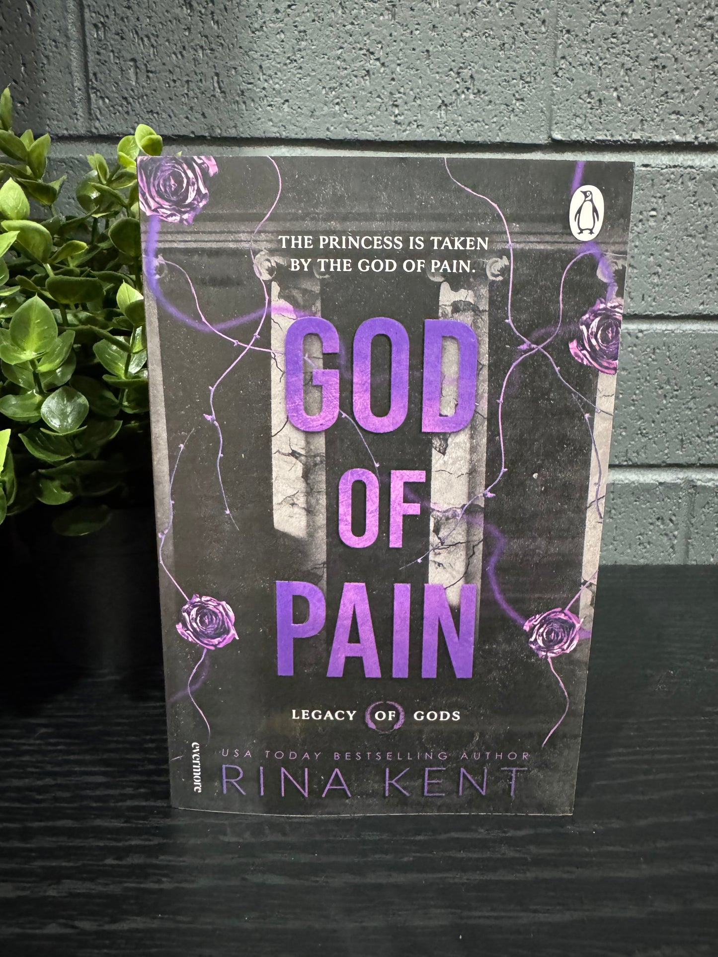 God Of Pain - Rina Kent